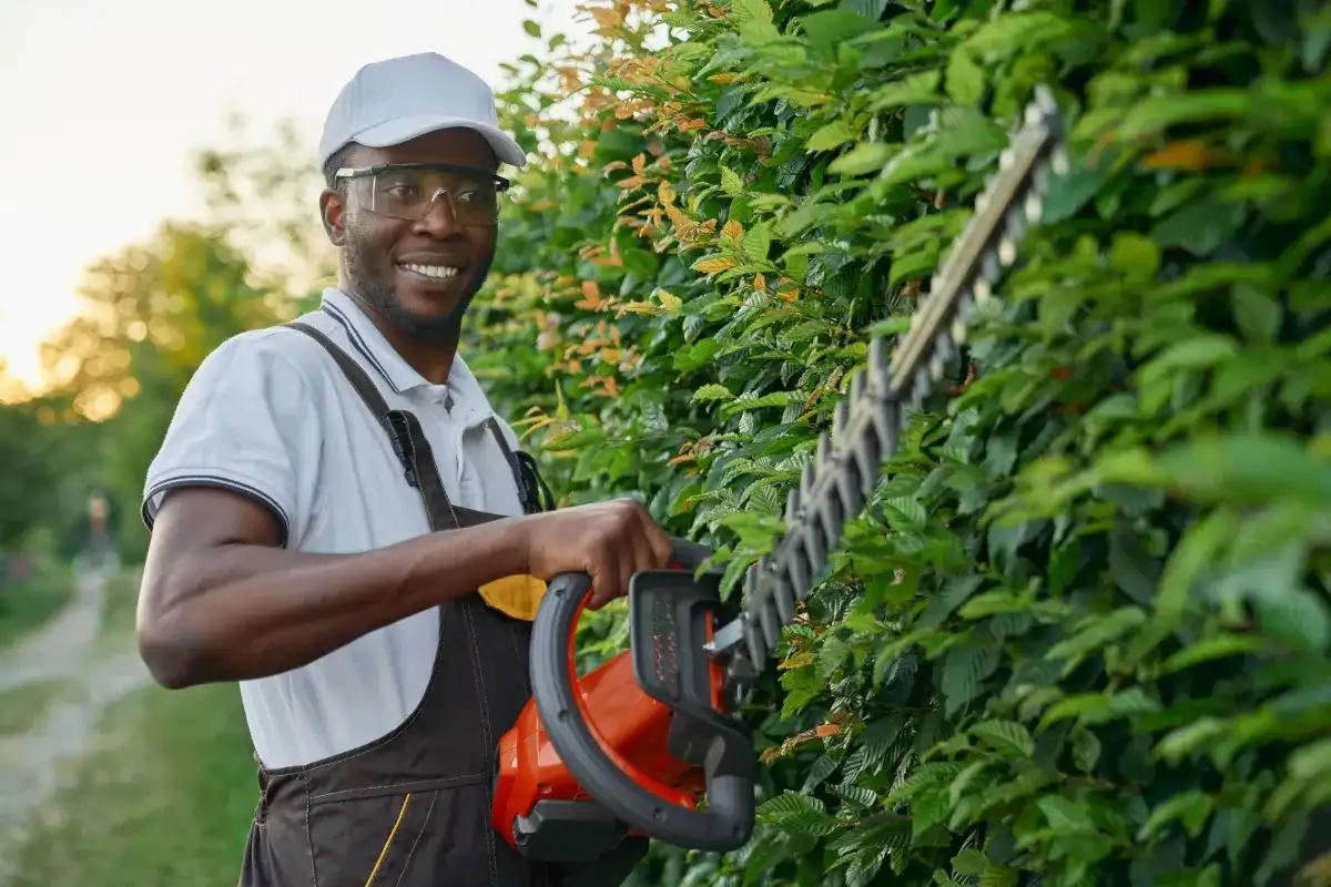 Landscapers